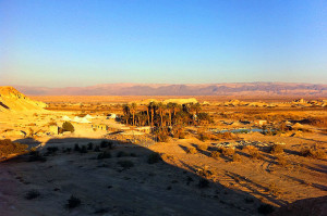 מואה אואזיס סדנאות נקי מבפנים צום מיצים וניקוי